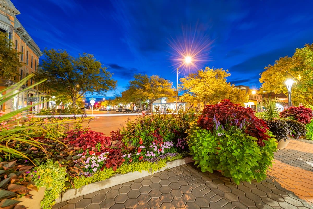 Gusto vs. a Local Payroll Provider: Which Is Right for Your Business?