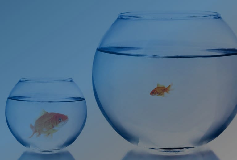 Two goldfish bowls — one small and crowded, one larger with room to swim — illustrating the right-sized partner